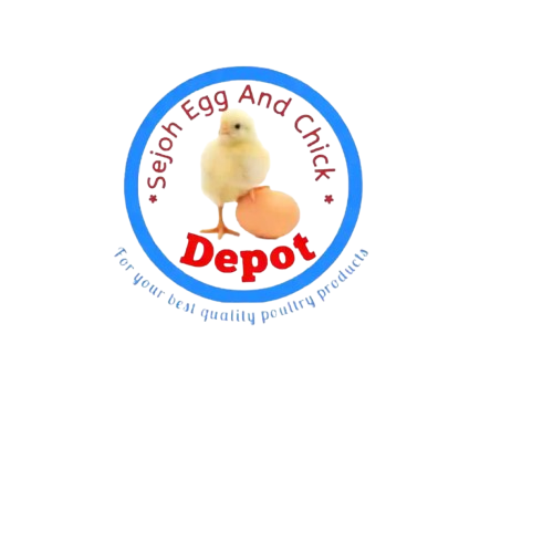 Joseck Chick & Egg Farm – Fresh Eggs, Healthy Chicks & Poultry Farming in Kenya